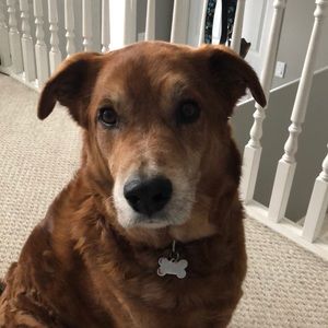 Meet your Posher, Natalie